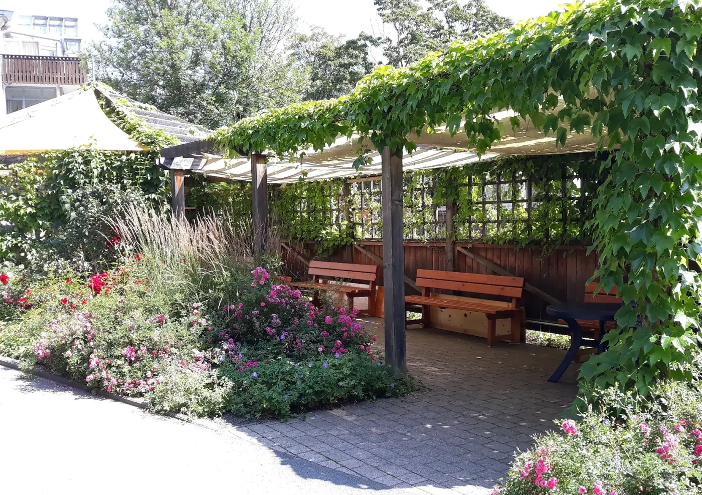 seniorenpflege-schottenberg-garten-pergola-sitzplatz-sommer